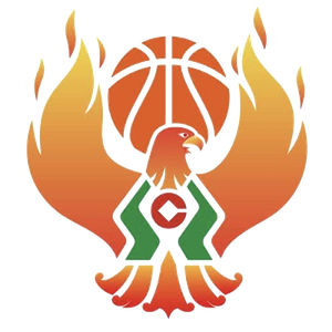 https://img.diskcn.cn/img/basketball/team/09b49d34027e0409a4de3295f8c71a2d.png