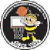 https://img.diskcn.cn/img/basketball/team/e416830f4083698237c559f8988ddb25.png